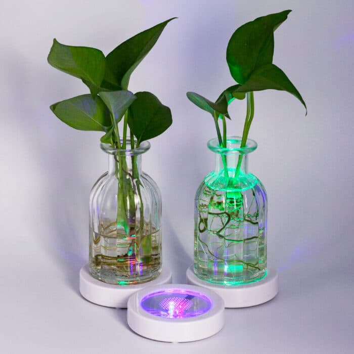 Weight Sensitive Pressure Activated LED Bottle Glorifiers Light Up Drink Coaster